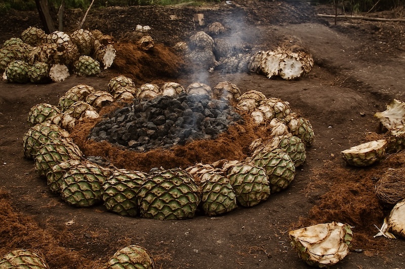 Mezcal-Palenque