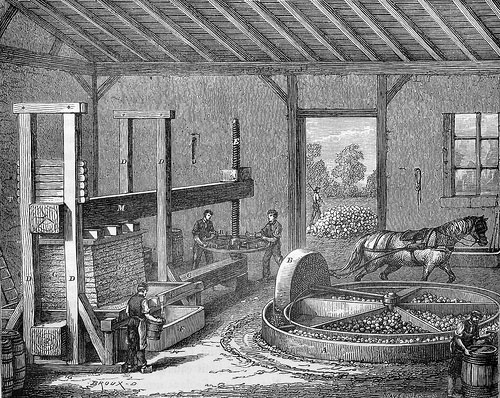 Calvados Apfelpresse
