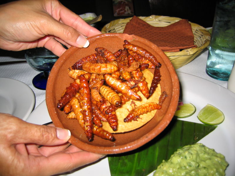 Gusano