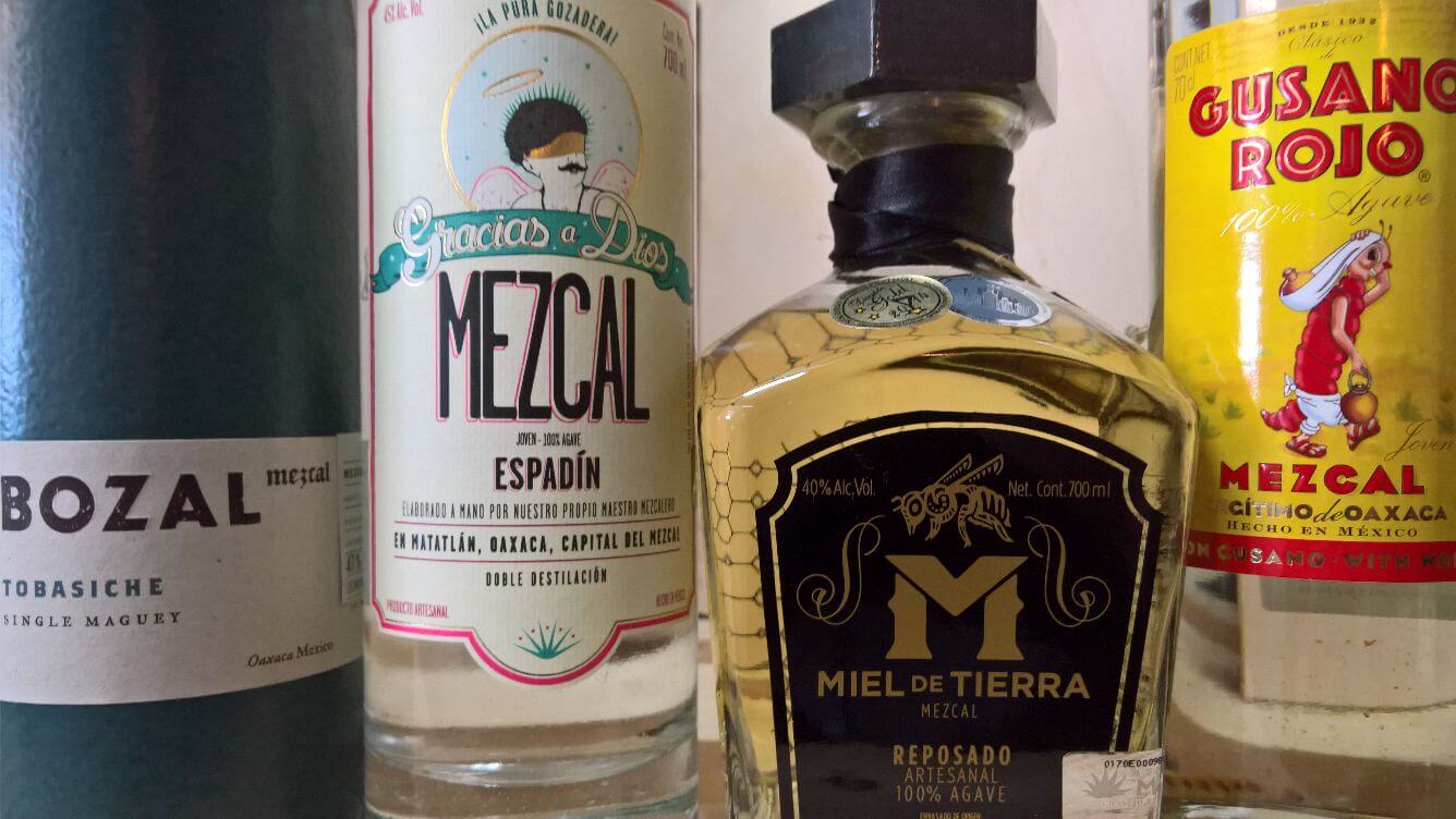 Die Produktion von Mezcal in sieben Schritten Die Produktion von Mezcal in sieben Schritten
